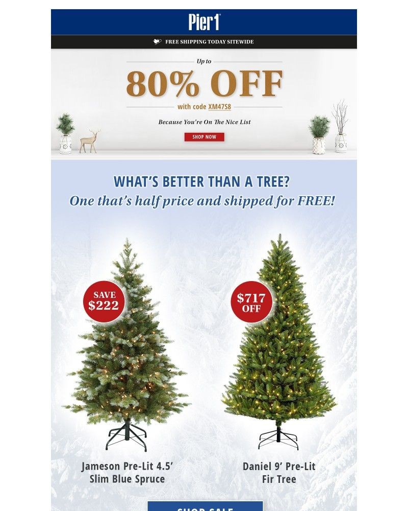 Screenshot of email with subject /media/emails/80-off-free-shipping-must-be-the-holidays-74d37c-cropped-a8784533.jpg