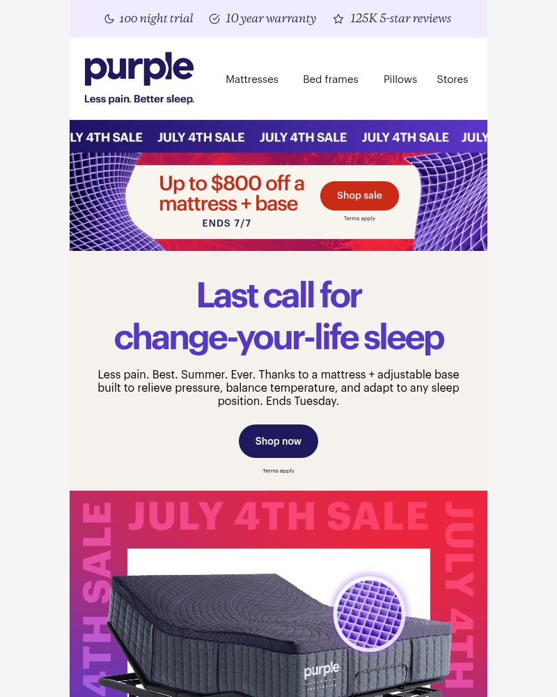 Screenshot of email sent to a Purple Cart abandoner