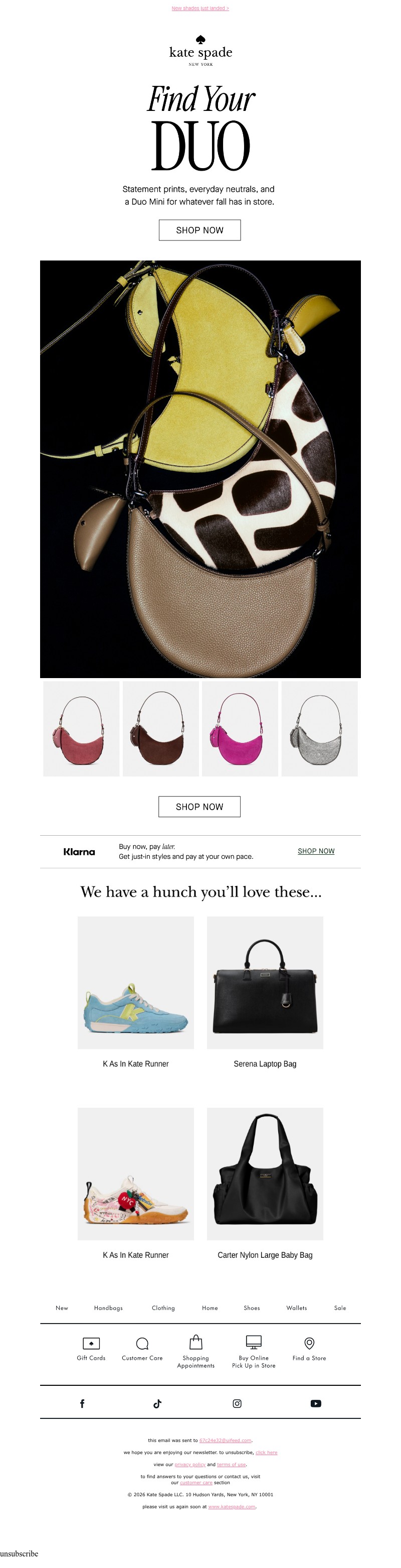 Screenshot of email with subject /media/emails/8013f95d-baf6-4724-a681-91a348c78597.jpg