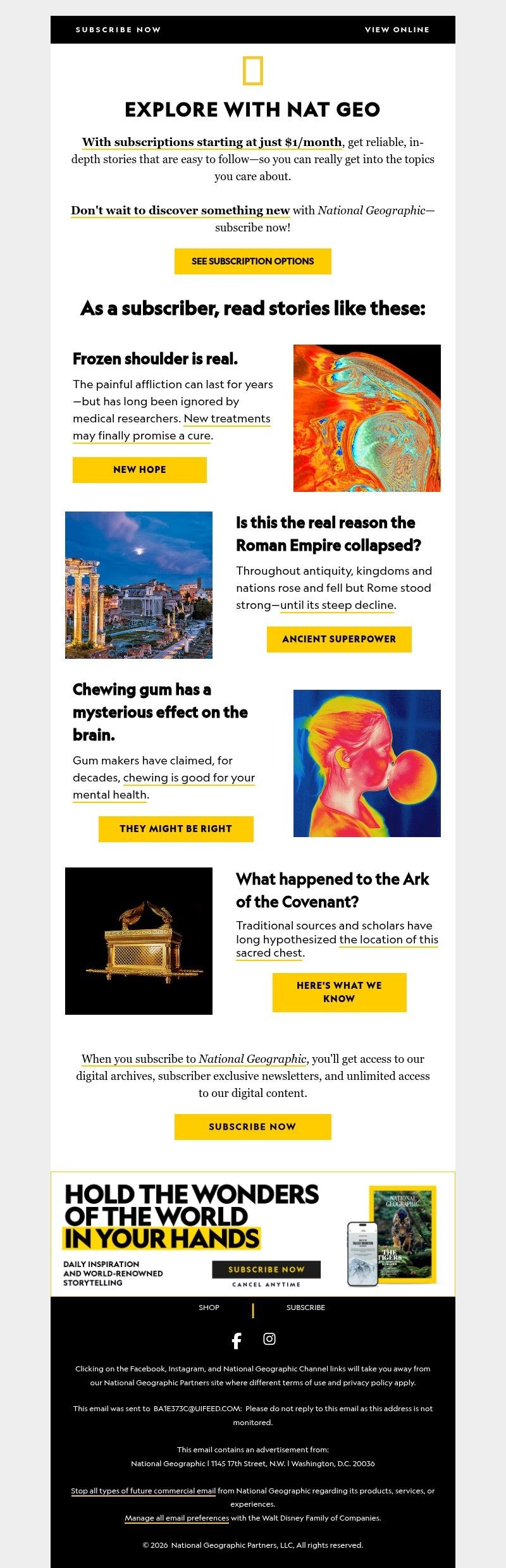 Screenshot of email with subject /media/emails/8186b245-7277-4785-be2b-38b0f513410a.jpg