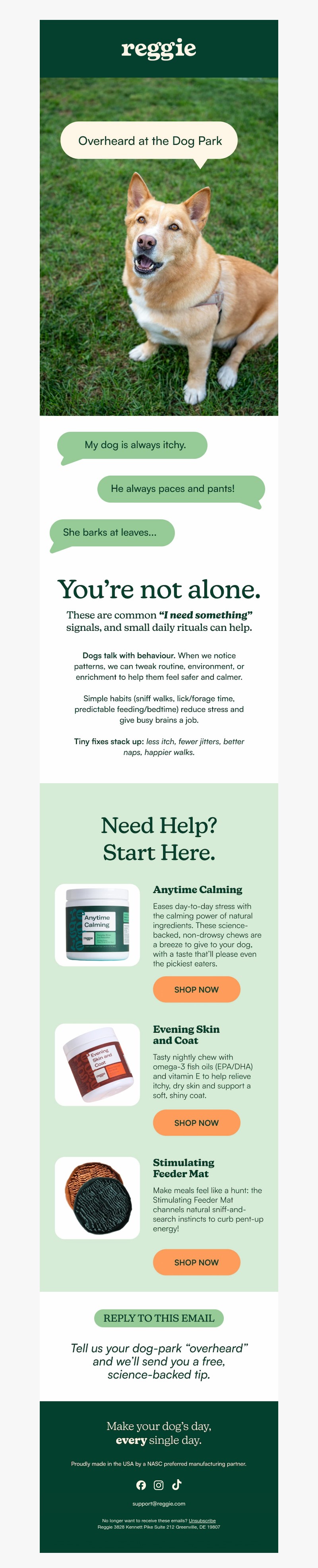 Screenshot of email with subject /media/emails/81ad1caf-356f-4771-966a-dd107bd54b00.jpg