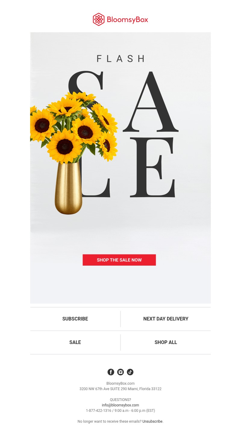 Screenshot of email with subject /media/emails/81b4bbe0-228a-403c-8022-2f433591c9e1.jpg