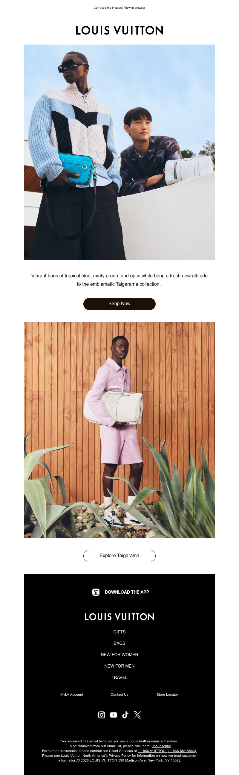 Screenshot of email with subject /media/emails/81e4e79d-c975-4344-8a59-d82adce414f4.jpg