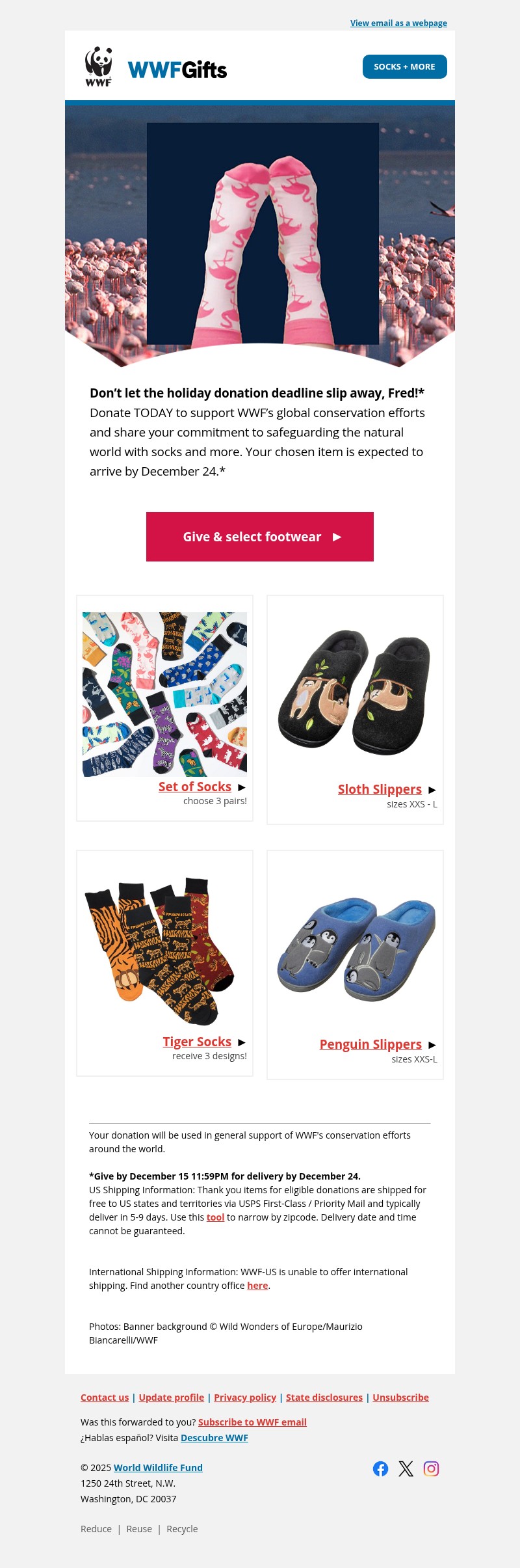 Screenshot of email with subject /media/emails/81f86048-8334-4e7b-b479-eaaa0e6dc02d.jpg