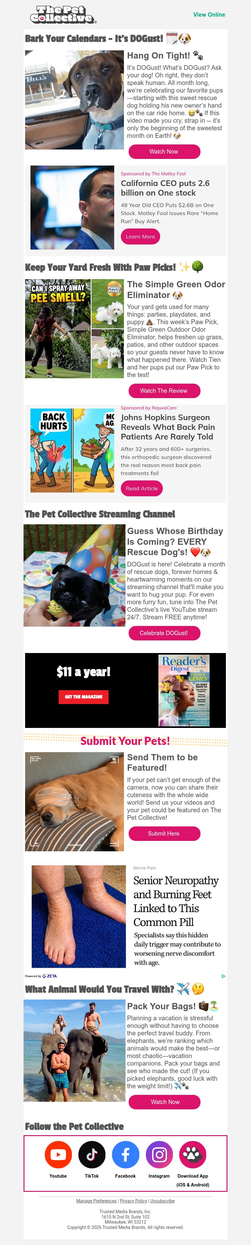 Screenshot of email with subject /media/emails/82cb14ff-8518-4bba-85f9-b8b65dd534b0.jpg