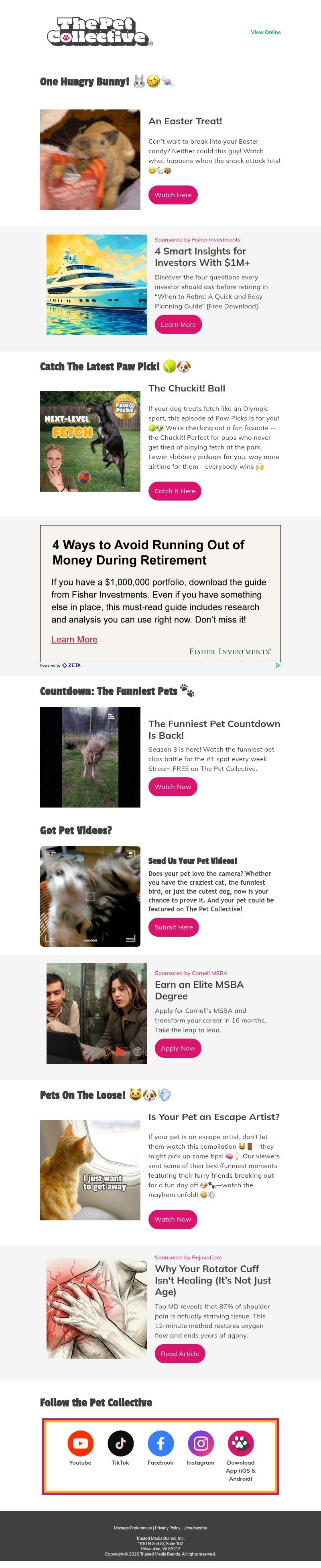 Screenshot of email with subject /media/emails/83563893-b73b-4446-9c9e-1a3548b875b8.jpg