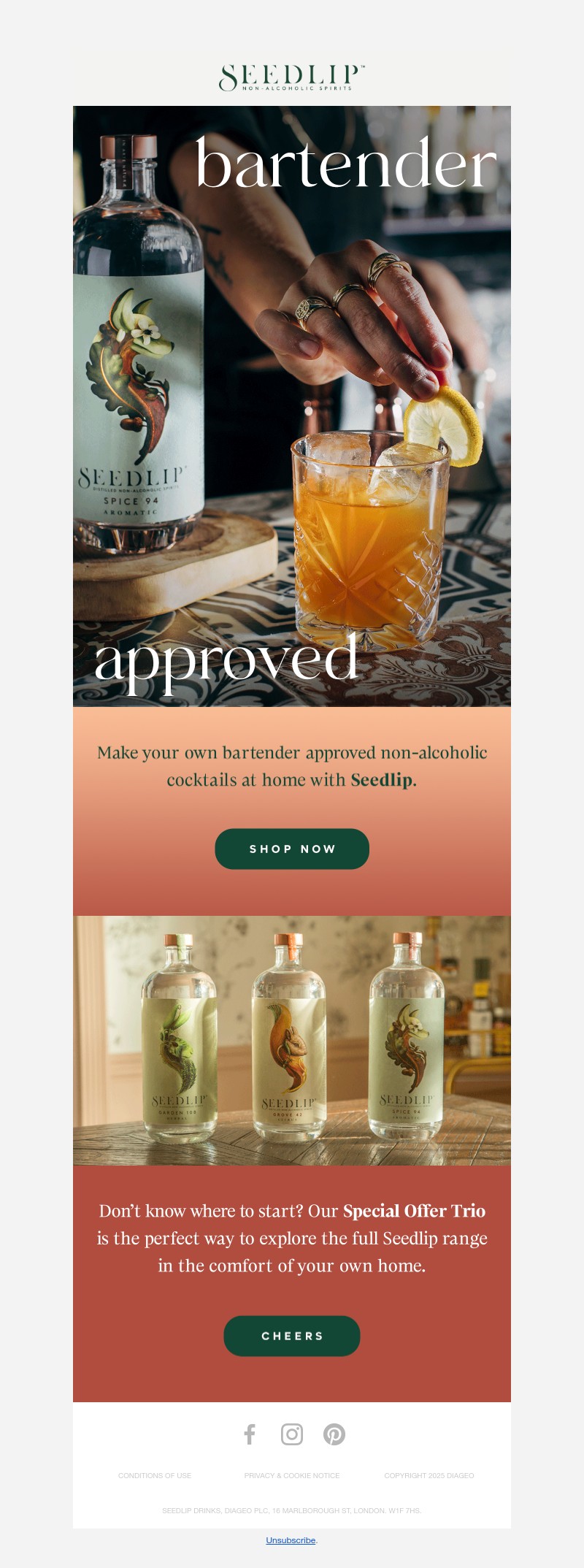 Screenshot of email with subject /media/emails/839bf29a-9b09-468c-a573-13376084320d.jpg