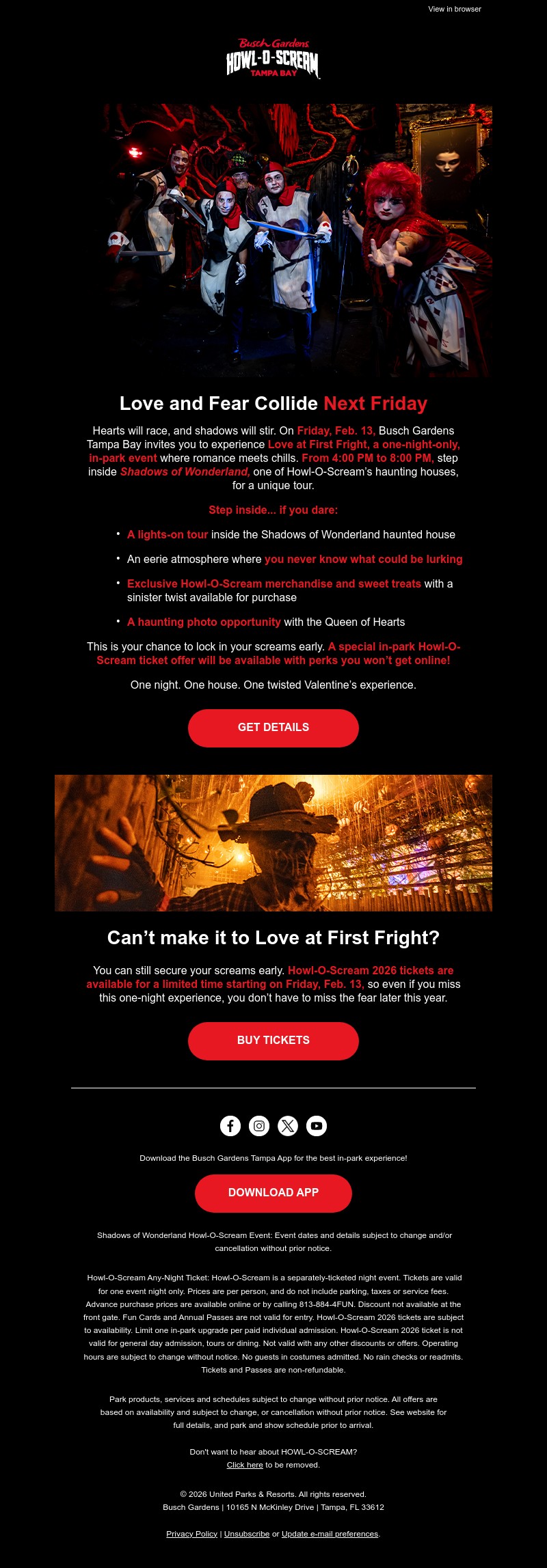 Screenshot of email with subject /media/emails/842c26d5-4650-4095-b41e-5aee731f0791.jpg