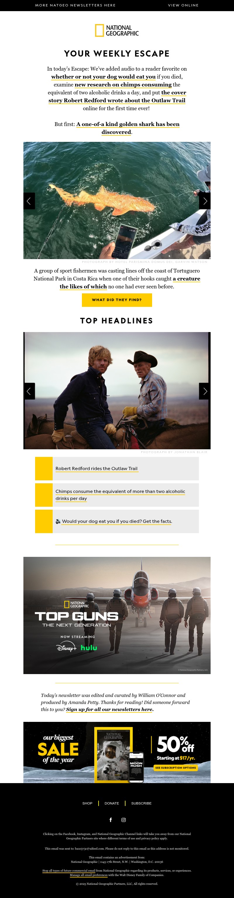 Screenshot of email with subject /media/emails/844d72df-b3cb-4508-95cc-c2e72f4e8974.jpg