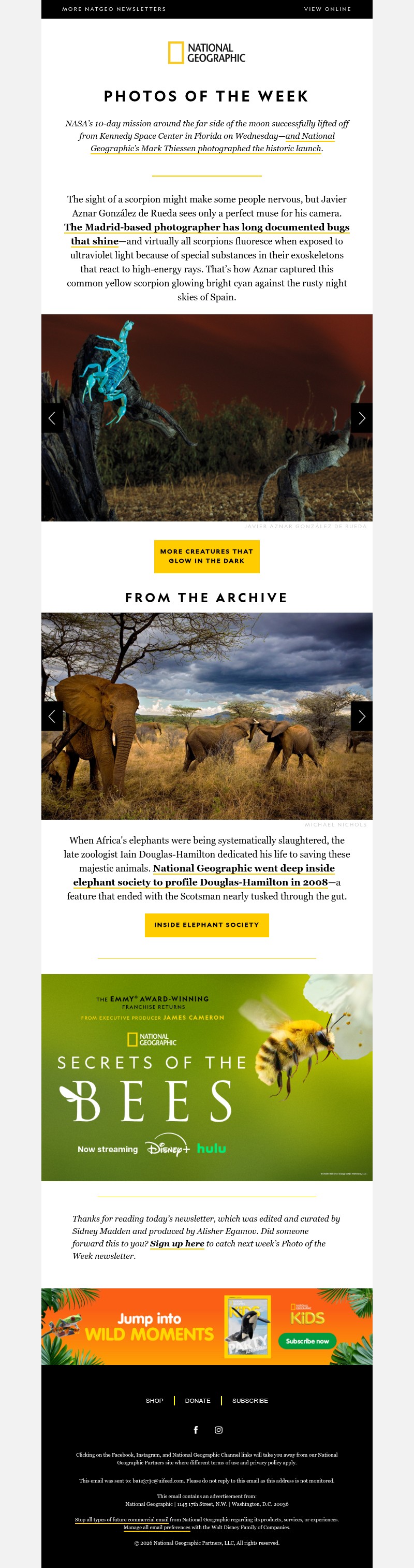 Screenshot of email with subject /media/emails/84a0bf3c-2337-4bb6-a2b6-d1ee4d048013.jpg