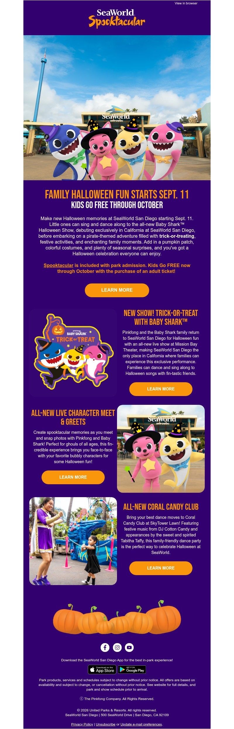 Screenshot of email with subject /media/emails/85d10a9f-12aa-44ca-811e-199cd35ecba7.jpg