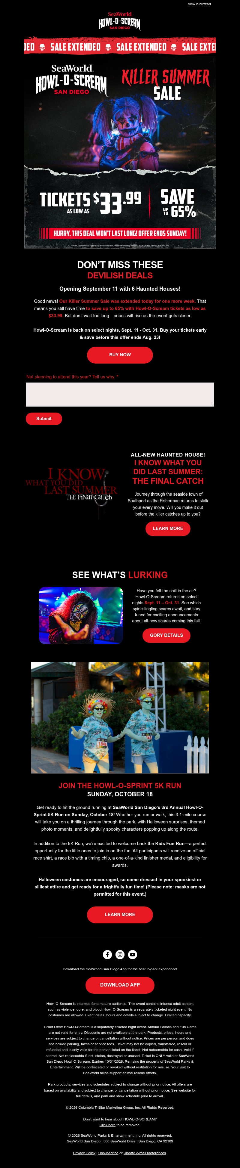 Screenshot of email with subject /media/emails/85e7d02b-5178-43cb-978d-9a9bf995f929.jpg