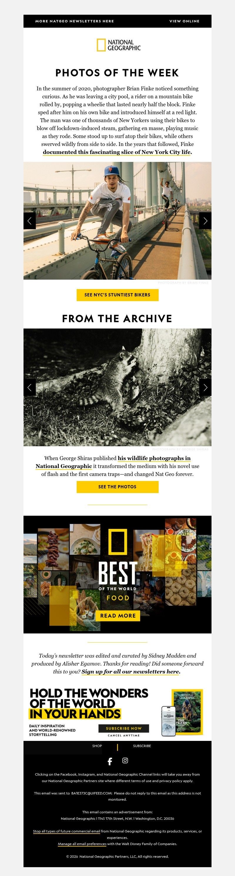 Screenshot of email with subject /media/emails/86e704b6-8dcc-41c2-95be-39030ecd9bb9.jpg