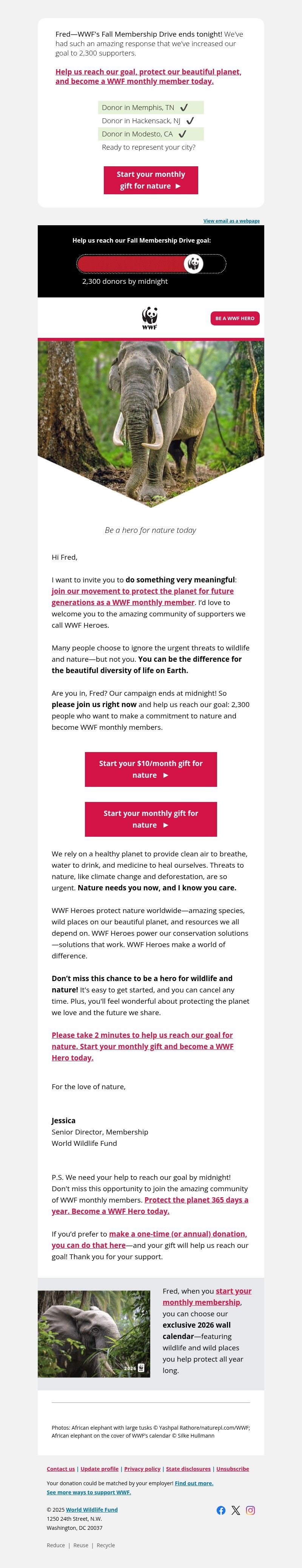 Screenshot of email with subject /media/emails/86f05a5a-5c05-4e5f-aabb-ef11b2975812.jpg