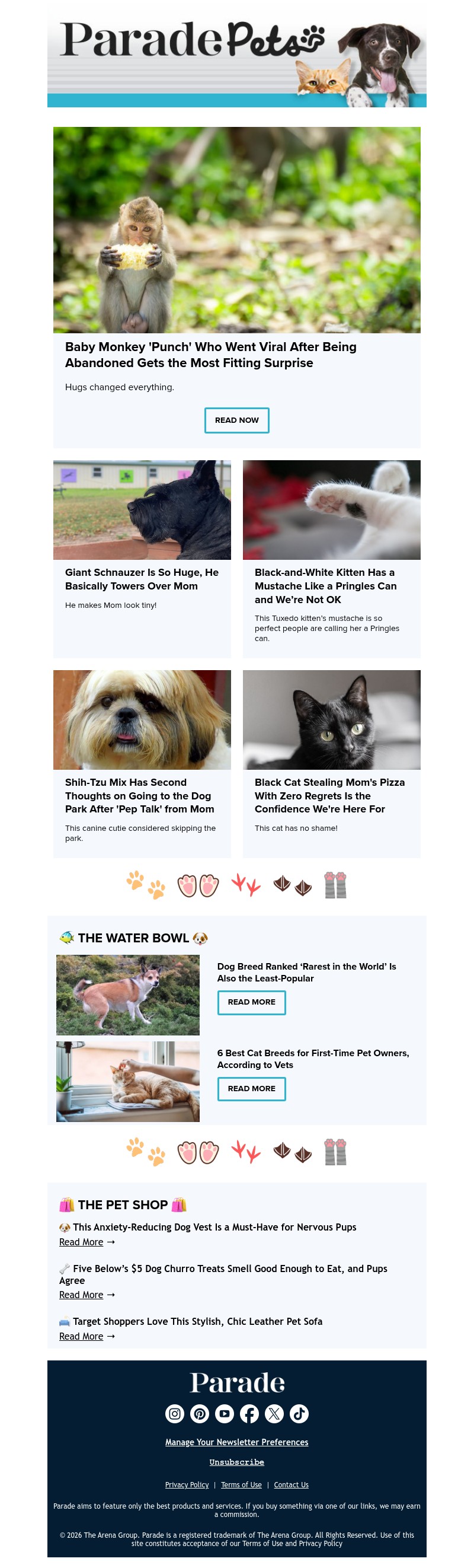 Screenshot of email with subject /media/emails/87462e66-ef72-4f3f-8aaa-a9f9bacc18e4.jpg