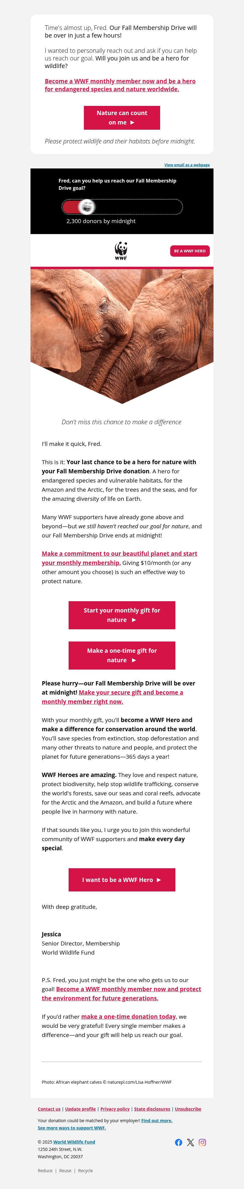 Screenshot of email with subject /media/emails/87efbbf1-301d-48e1-8235-53991c417e87.jpg