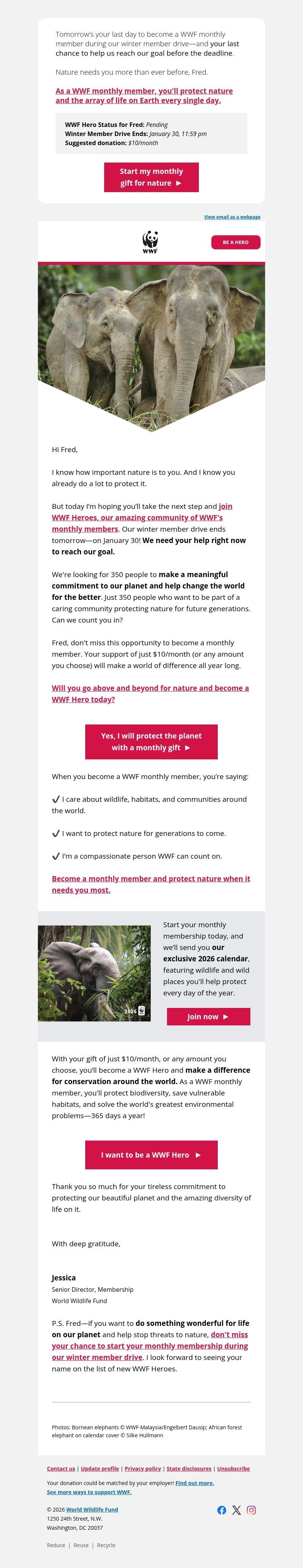 Screenshot of email with subject /media/emails/8816dd76-c7a0-40b4-acd7-37d6b6717c96.jpg