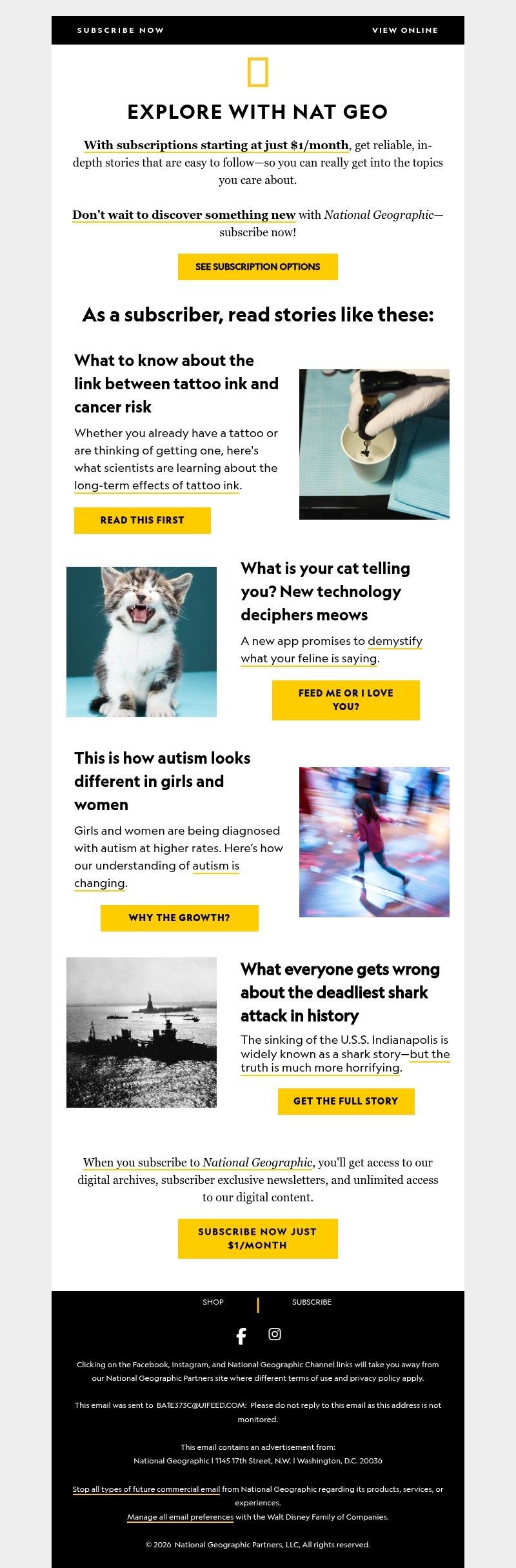 Screenshot of email with subject /media/emails/882028b8-692f-41dc-9f18-dd07b71a0654.jpg