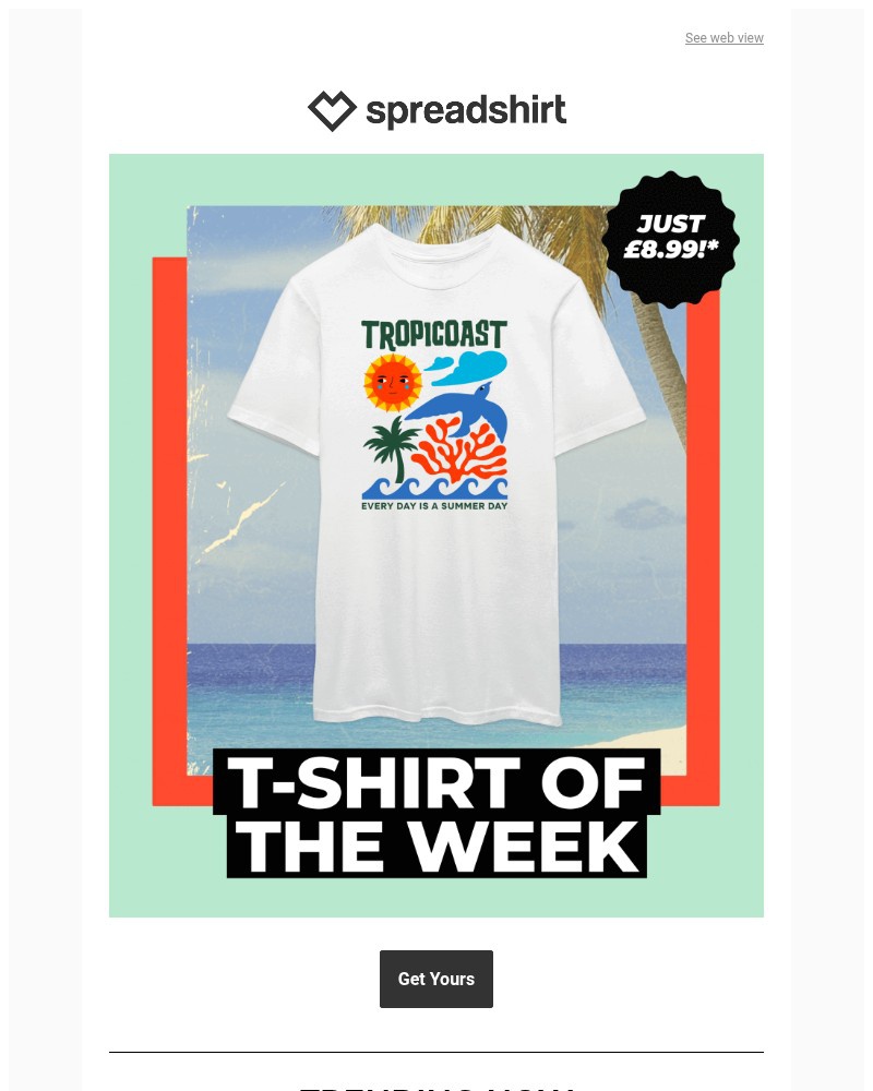 Screenshot of email with subject /media/emails/899-for-the-retro-summer-t-shirt-of-the-week-7d5ddb-cropped-661815b5.jpg