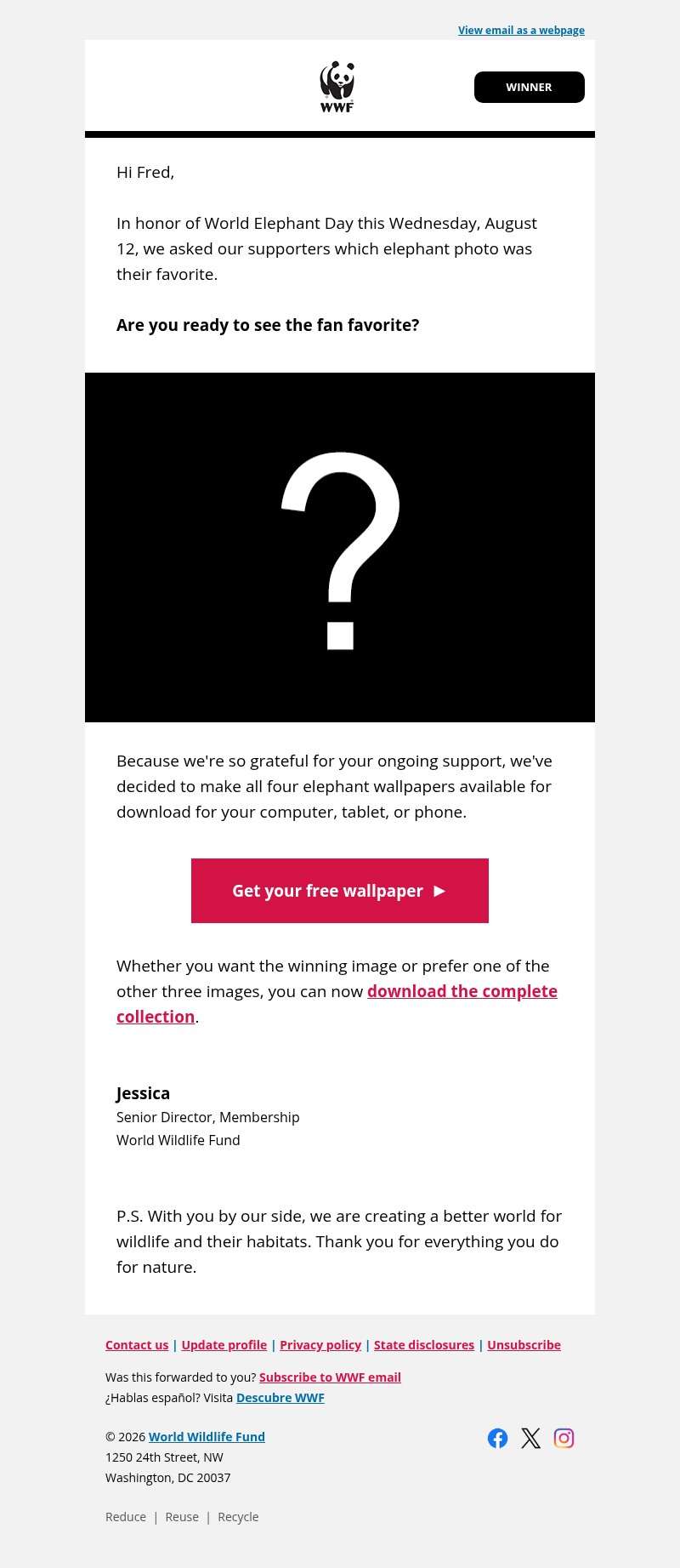 Screenshot of email with subject /media/emails/89c00624-abd6-4950-a254-fe7a208ed2a3.jpg
