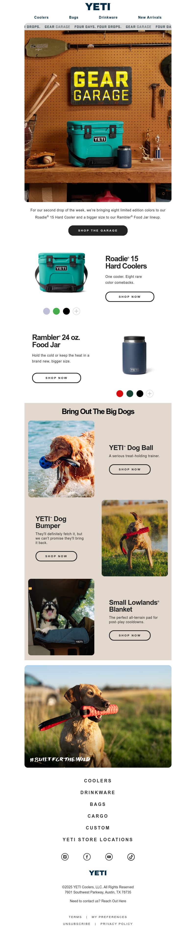 Screenshot of email with subject /media/emails/8a74e5ee-fcb2-4045-abea-e1d34ef455d6.jpg