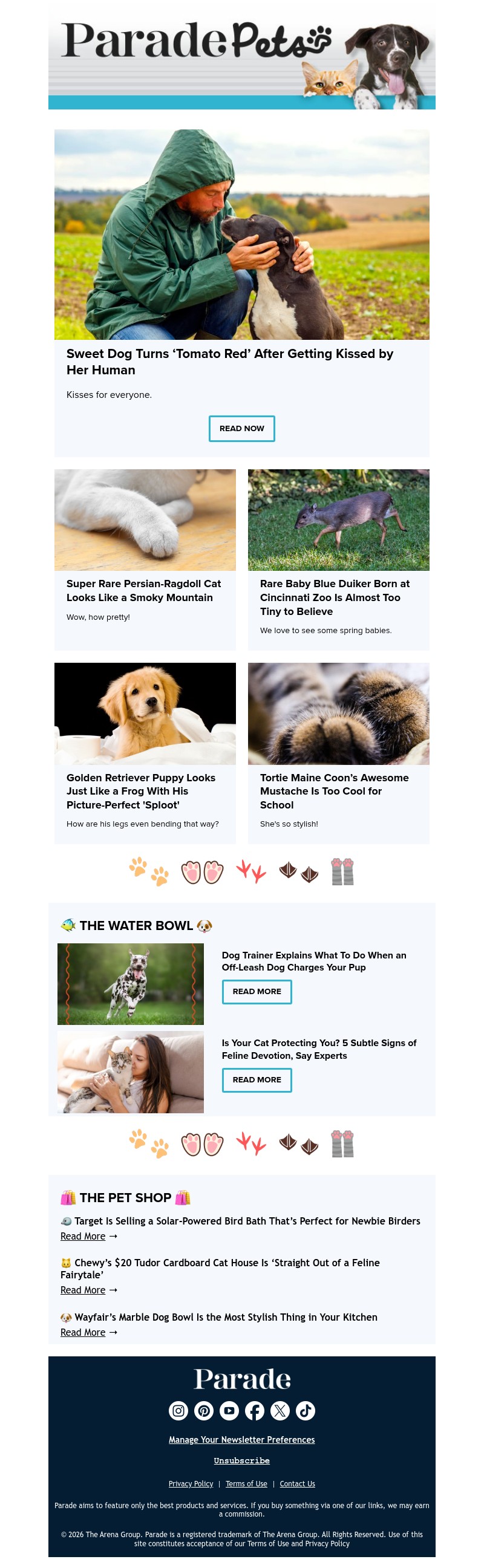 Screenshot of email with subject /media/emails/8b8dee59-4867-4126-a99b-0bf3db22242b.jpg
