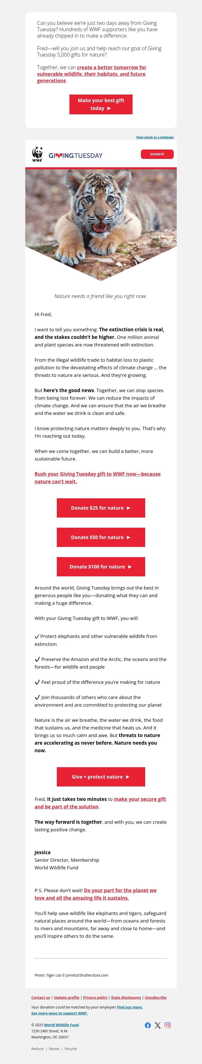 Screenshot of email with subject /media/emails/8cb11767-6aeb-4ea6-be4a-5f5fd703117c.jpg