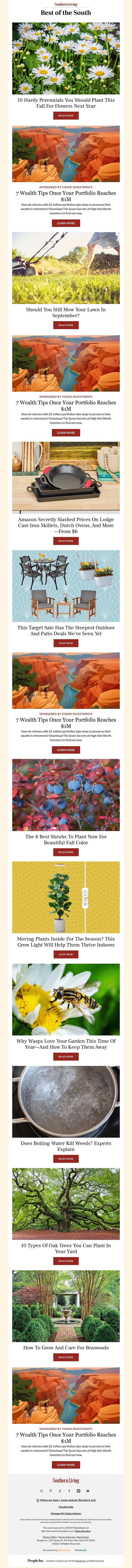 Screenshot of email with subject /media/emails/8e72dce0-ad81-43f0-9101-b560728e6177.jpg