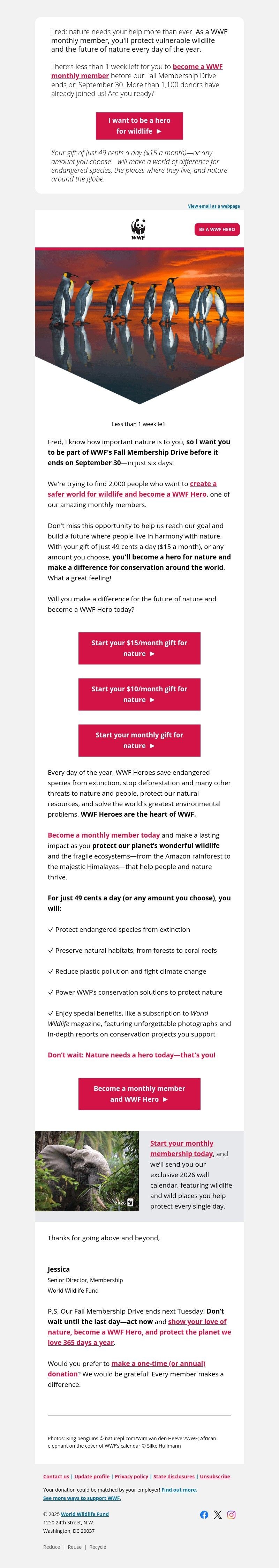 Screenshot of email with subject /media/emails/8fac89af-6e6b-49b2-b1cf-5d29d8c77a3f.jpg
