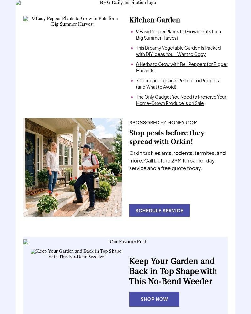 Screenshot of email with subject /media/emails/9-easy-pepper-plants-to-grow-for-a-big-summer-harvest-346a99-cropped-88ba73ff.jpg