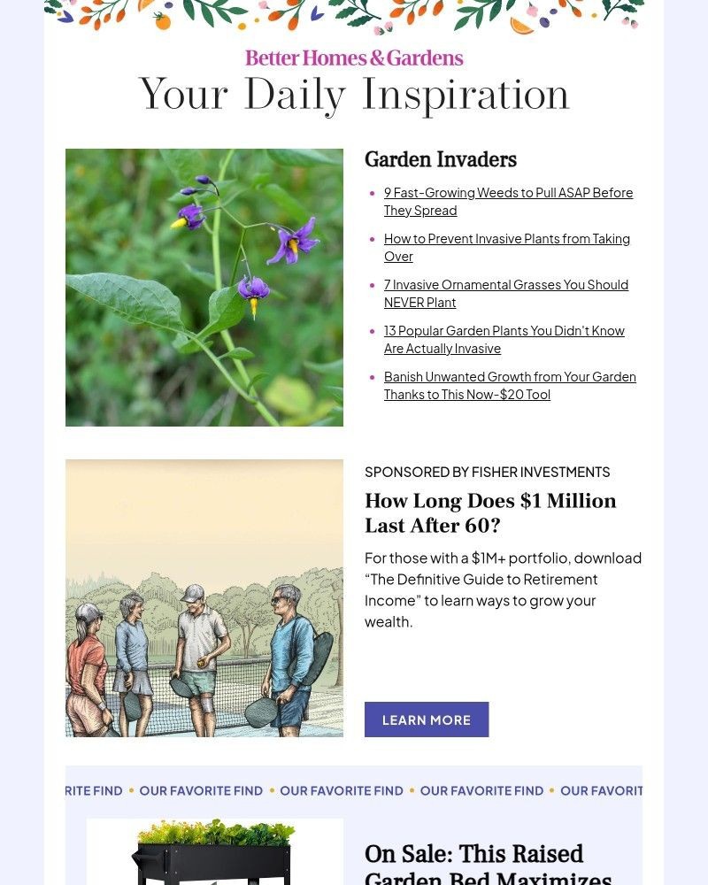 Screenshot of email with subject /media/emails/9-fast-growing-weeds-to-pull-asap-before-they-spread-da0b68-cropped-21d07981.jpg