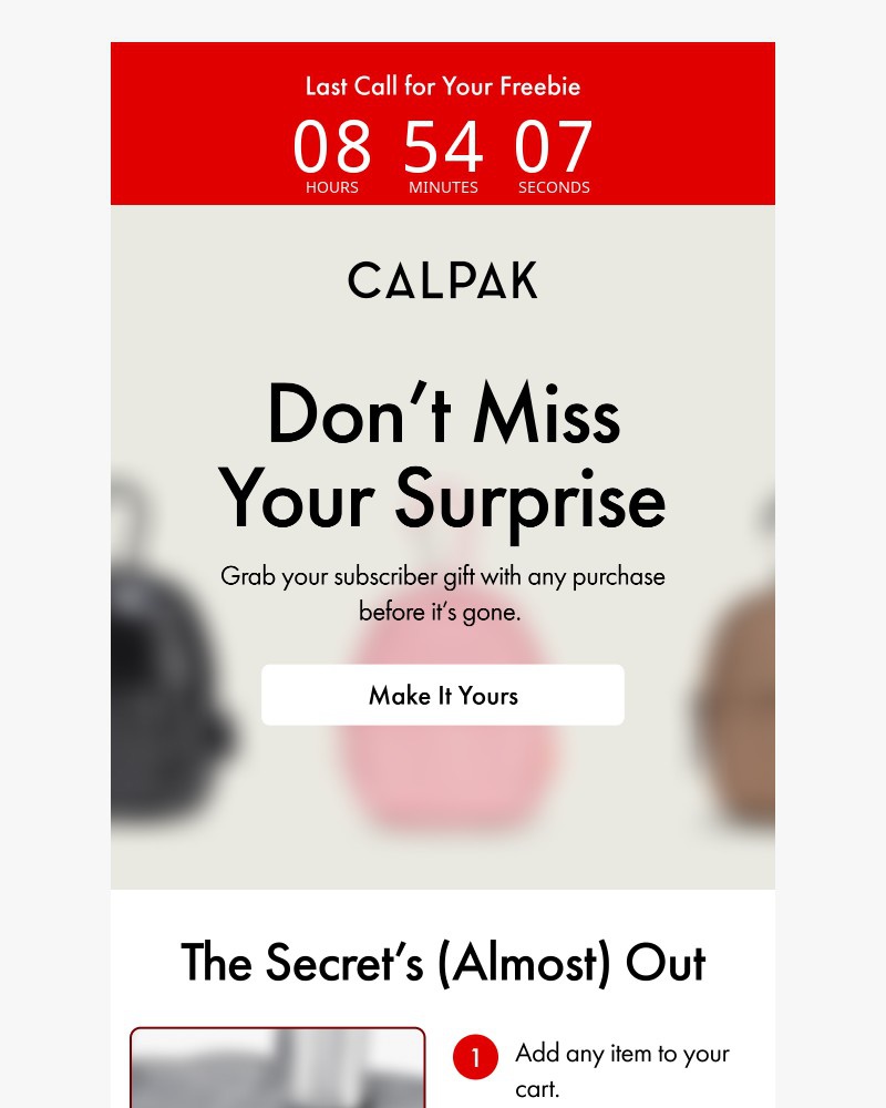 Screenshot of email with subject /media/emails/9-hours-left-your-secret-gift-74515c-cropped-28f64dca.jpg