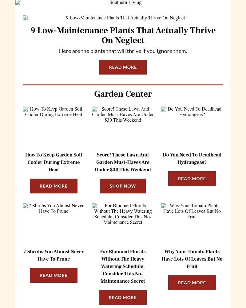 Screenshot of email with subject /media/emails/9-low-maintenance-plants-that-actually-thrive-on-neglect-60b911-cropped-dd7283fc.jpg