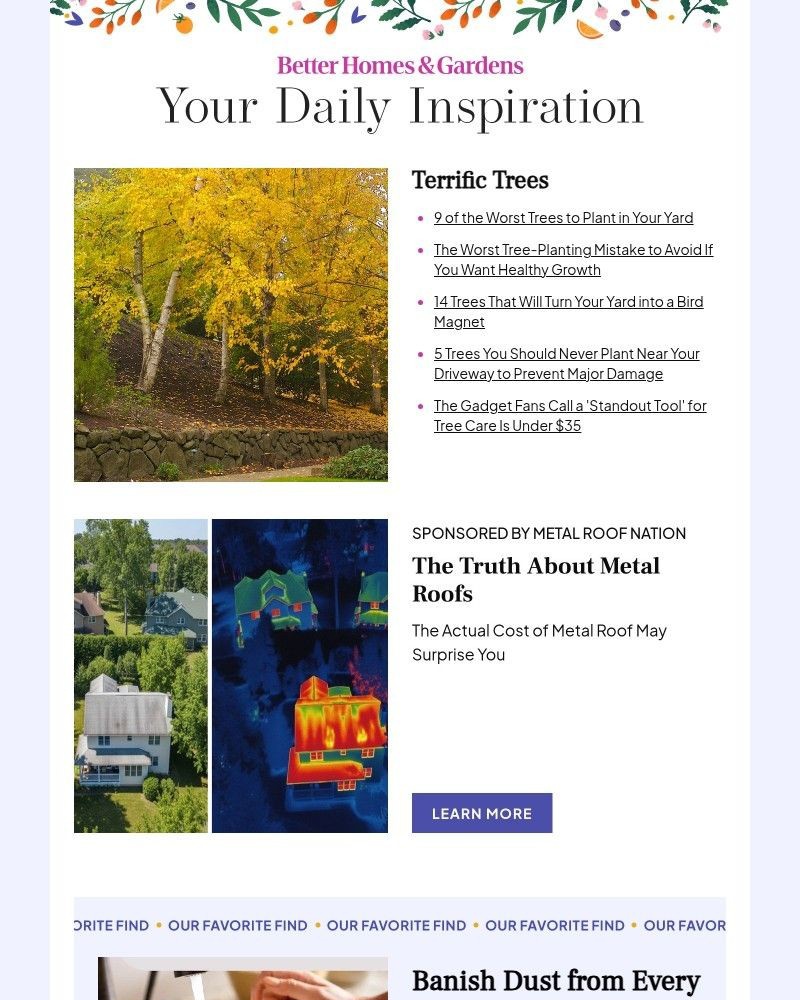 Screenshot of email with subject /media/emails/9-of-the-worst-trees-to-plant-in-your-yard-9cfdf4-cropped-ce6229e3.jpg