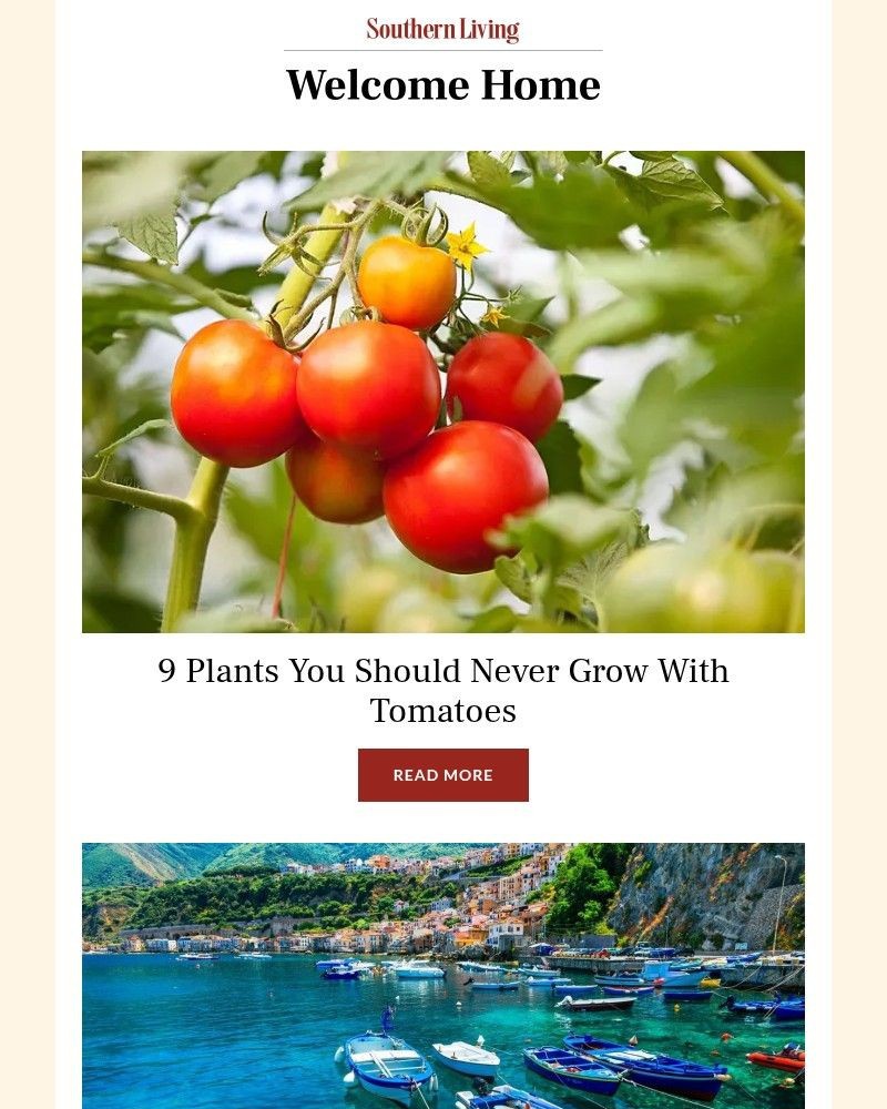 Screenshot of email sent to a Southern Living Newsletter subscriber