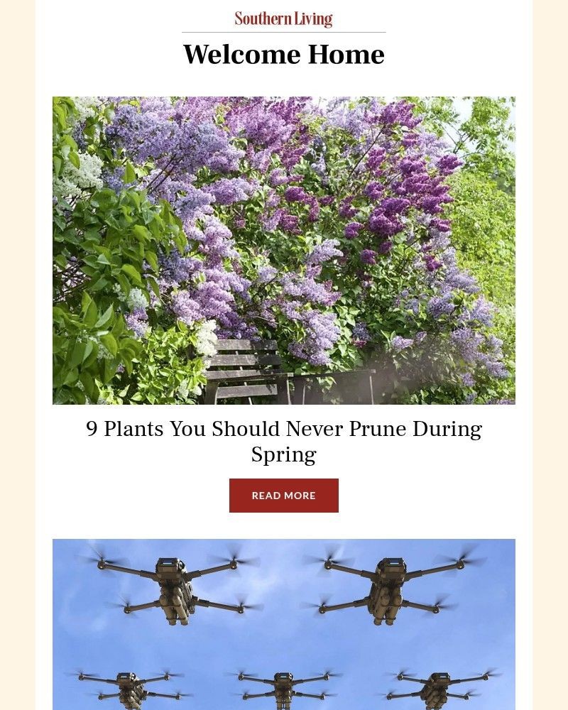 Screenshot of email with subject /media/emails/9-plants-you-should-never-prune-during-spring-12cdfa-cropped-c5c8d2bd.jpg