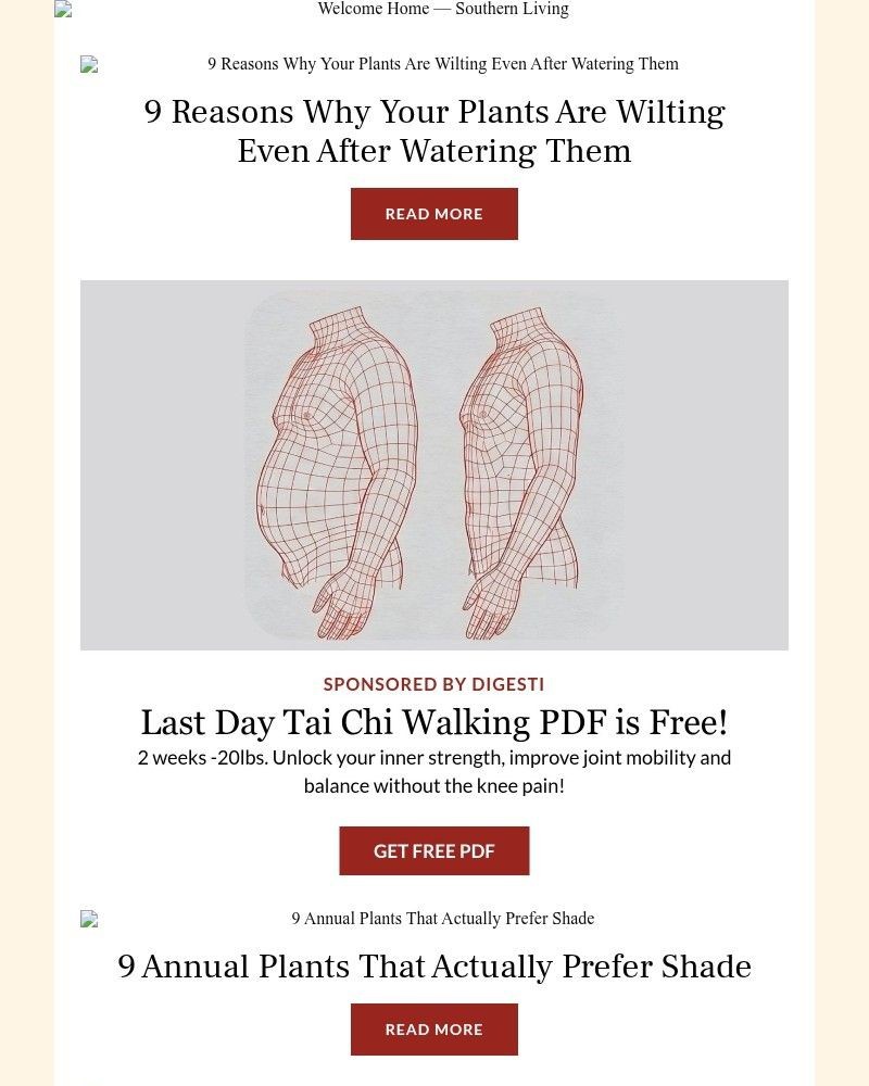 Screenshot of email with subject /media/emails/9-reasons-why-your-plants-are-wilting-even-after-watering-them-0af058-cropped-b3d55860.jpg
