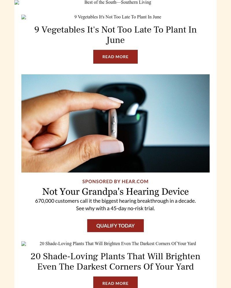 Screenshot of email with subject /media/emails/9-vegetables-its-not-too-late-to-plant-in-june-a43a04-cropped-a8302dff.jpg