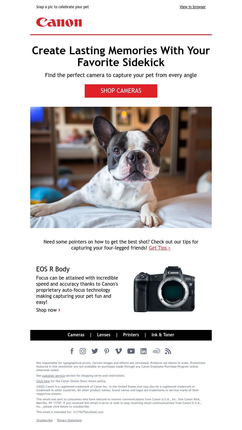Screenshot of email with subject /media/emails/9000a913-429c-45f6-8c75-5828bf57780a.jpg