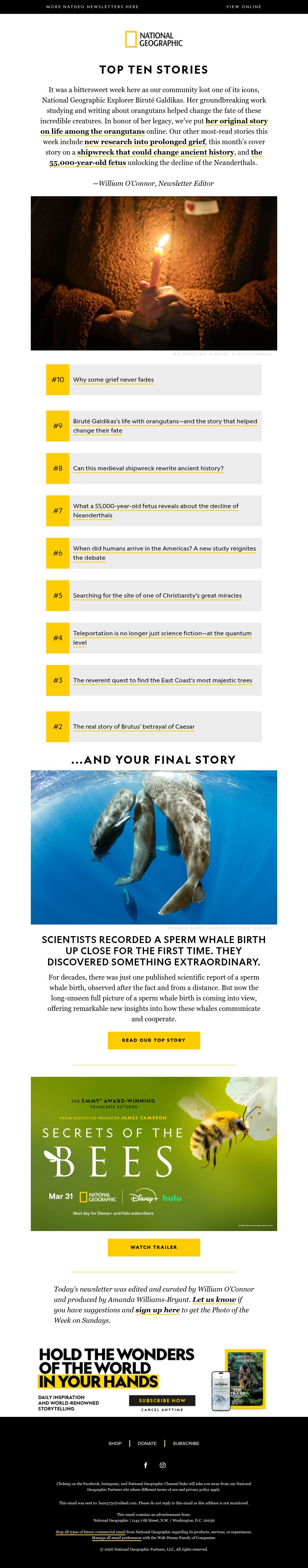 Screenshot of email with subject /media/emails/900e2929-356b-48ee-8cf0-dc8bddb65507.jpg