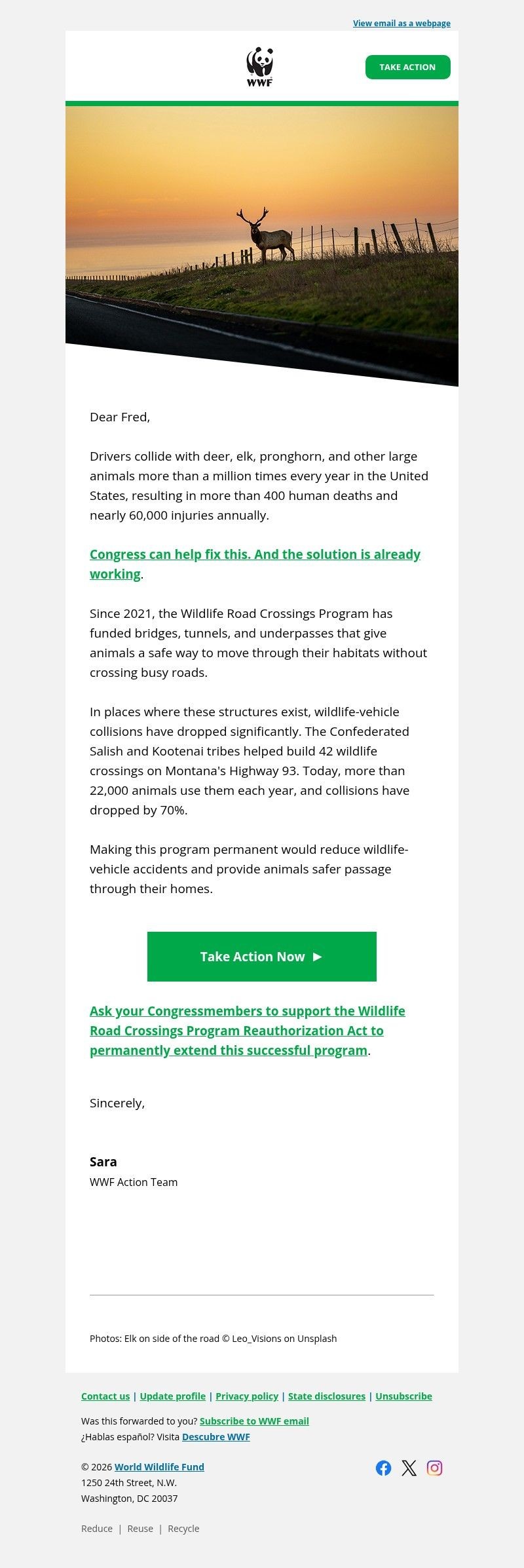 Screenshot of email with subject /media/emails/908001f2-5509-4f40-8d0e-f314445c1e43.jpg