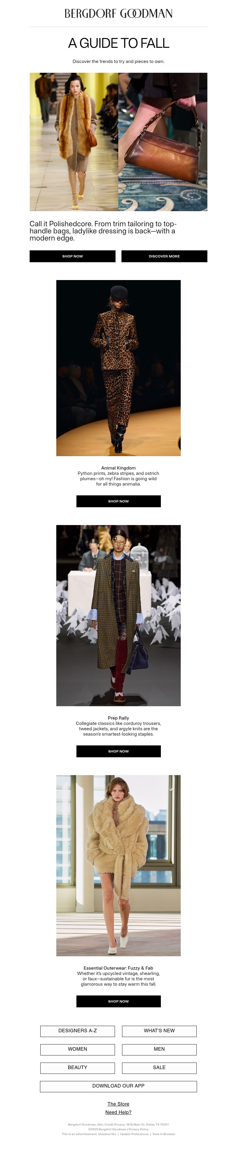 Screenshot of email with subject /media/emails/90e54ffd-572f-4a14-9585-a09a42cd321a.jpg