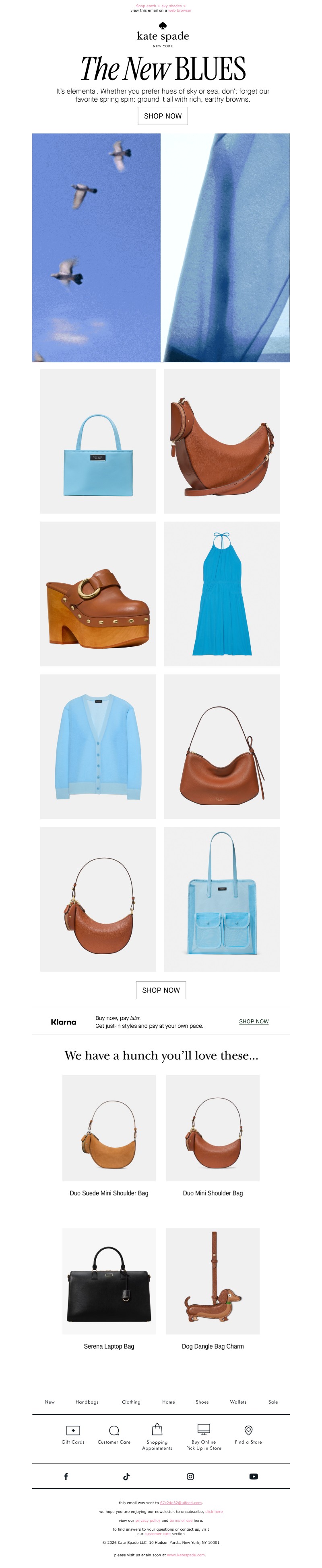 Screenshot of email with subject /media/emails/90f1cdd9-b4a2-4bdb-9f01-bcd26add1a93.jpg