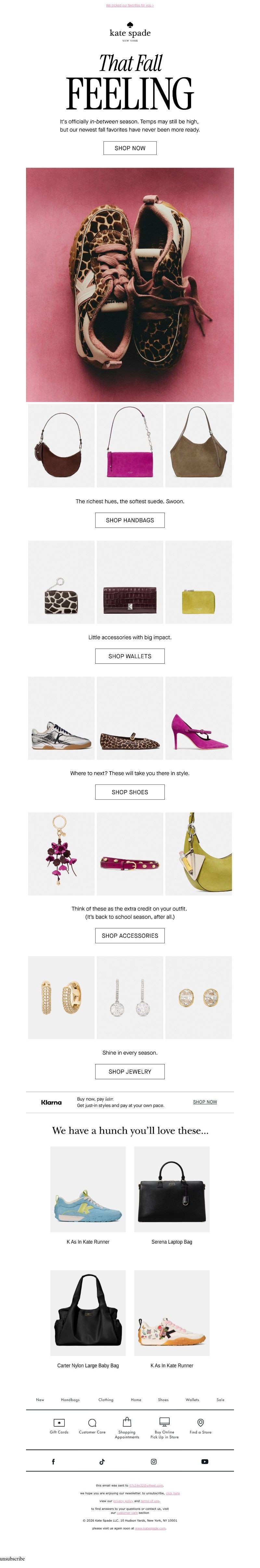Screenshot of email with subject /media/emails/91bb336e-83a0-47db-a75a-049558a3a0f5.jpg