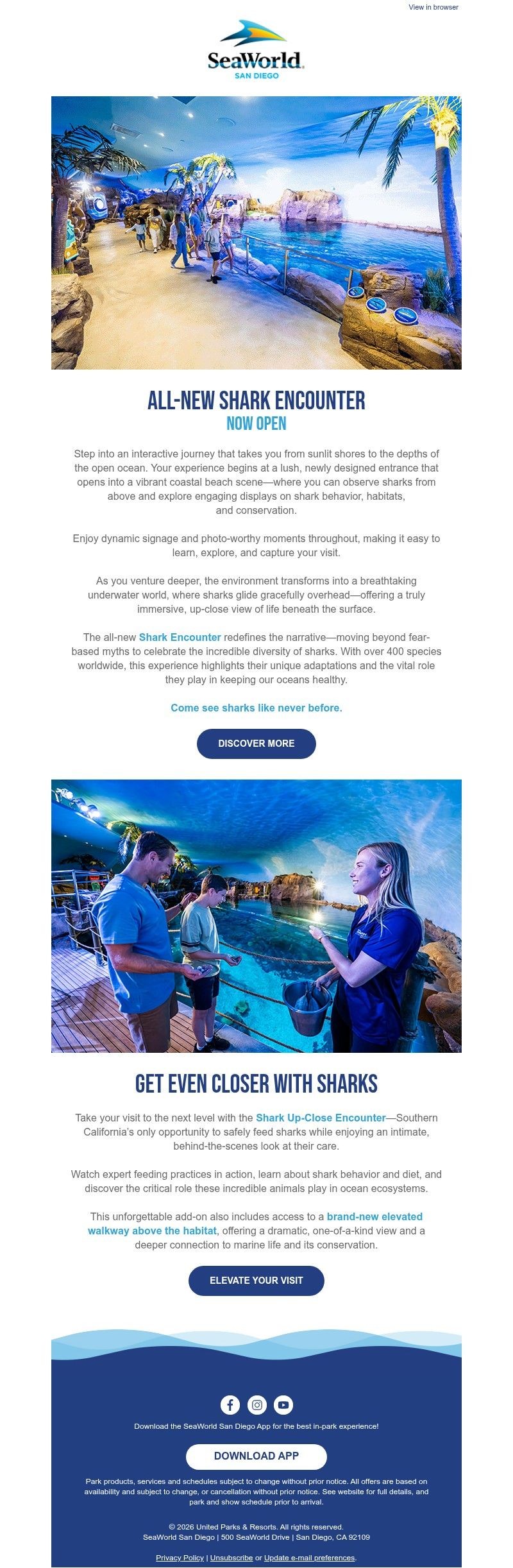 Screenshot of email with subject /media/emails/9204cb39-131d-4c46-9294-781cc6183a53.jpg