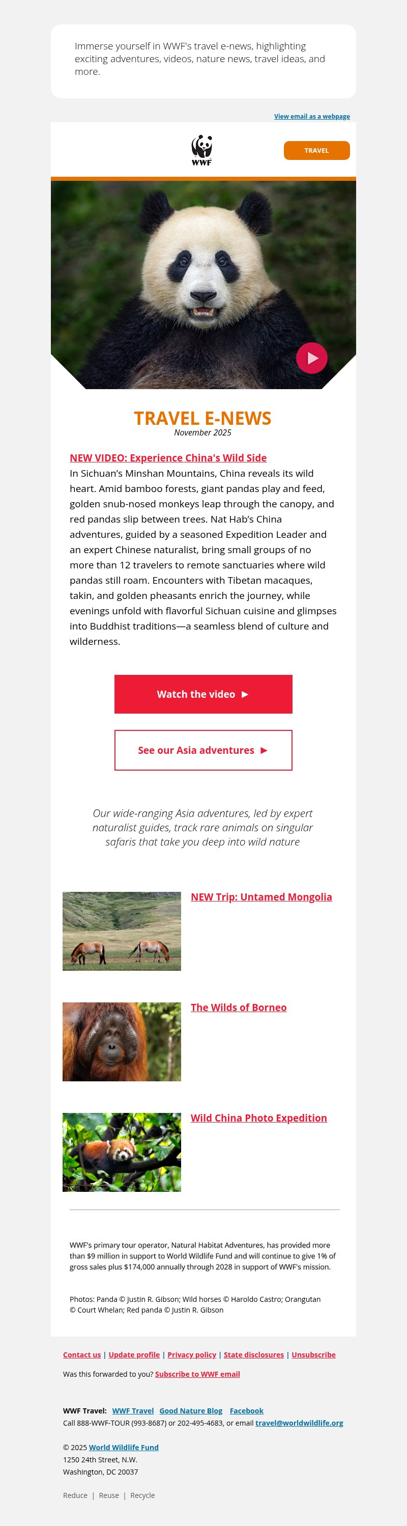 Screenshot of email with subject /media/emails/920d9a4f-4c08-47bd-a9f8-144aa9915f4d.jpg