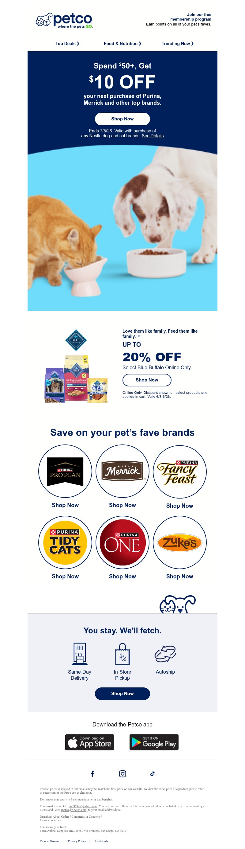 Screenshot of email with subject /media/emails/92ca28bf-774f-43a6-945c-b2e56f92f5db.jpg