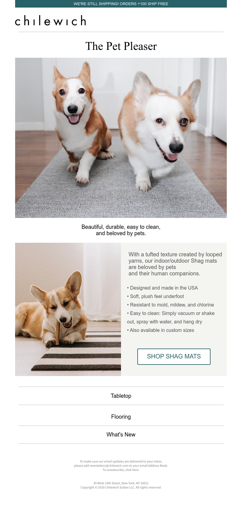 Screenshot of email with subject /media/emails/9300e18c-6794-4357-b005-c8a4309bc8e1.png