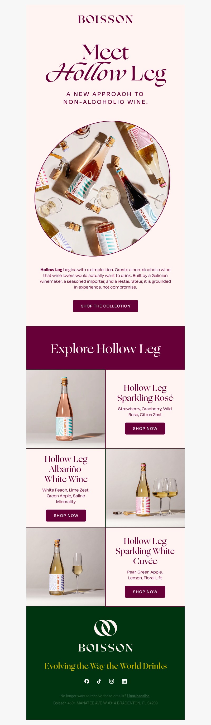 Screenshot of email with subject /media/emails/93be0086-952f-4491-b831-2401605eb10c.jpg