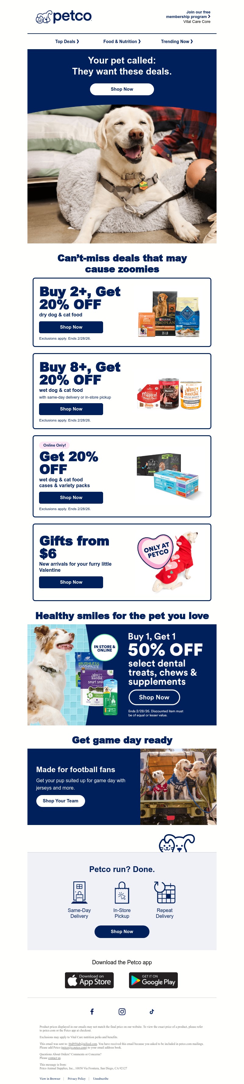 Screenshot of email with subject /media/emails/93d965c1-21b6-48ba-992f-6c22530df84b.jpg